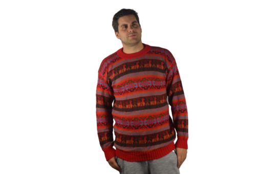 Alpaka Pullover Rot Modell 2