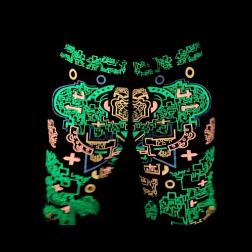 Schwarzlicht Shorts Jaguar